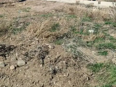 La Gloria s/n a través de Callejón de Servidumbre , Piso 0