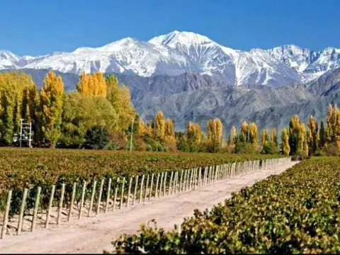 Century 21 López VENDE LOTES EN TUPUNGATO -  VALLE DE UCO - MENDOZA