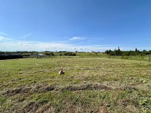 Republica de Venezuela