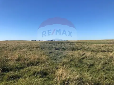 Venta Campo Río Negro - Ganadero Agrícola 350 has