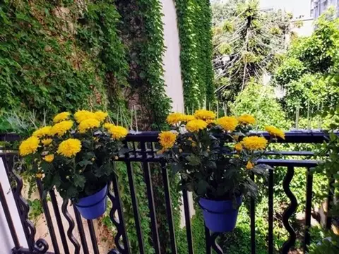 Pacheco De Melo 1900