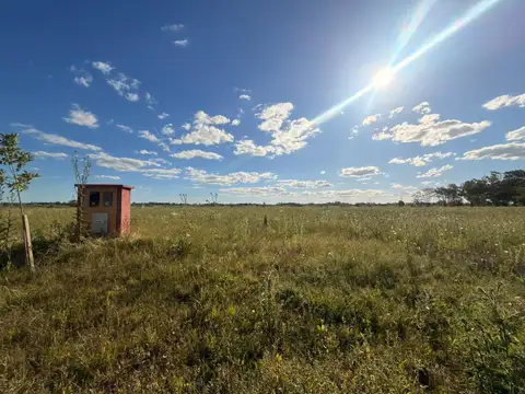 Barrio San Fermin, Merlo