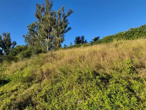 Terreno en Venta de 1005,0 m2