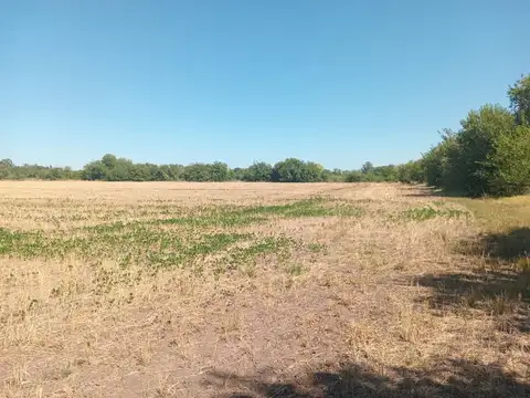 VENTA CAMPO 16 HECTAREAS ZONA PILAR