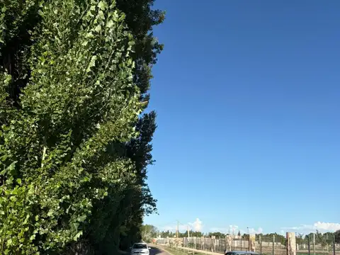 Terreno en Venta de 752,0 m2