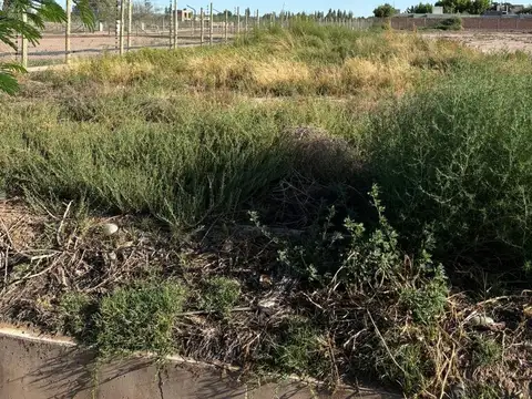 Terreno en Venta 14  mts Frente
