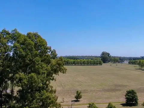 VENTA CHACRA 1 Ha FORESTADA CANCHA DE POLO PERMUTA