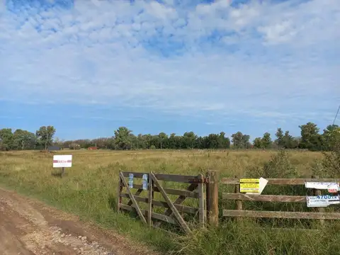 Chacras de Robles - Exaltacion de la Cruz