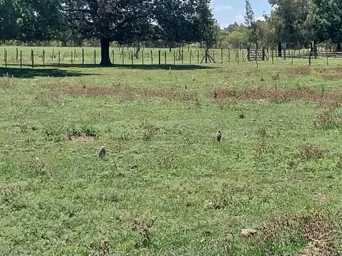 Terreno en Venta 32  mts Fondo