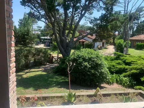 Calle 309 al 600