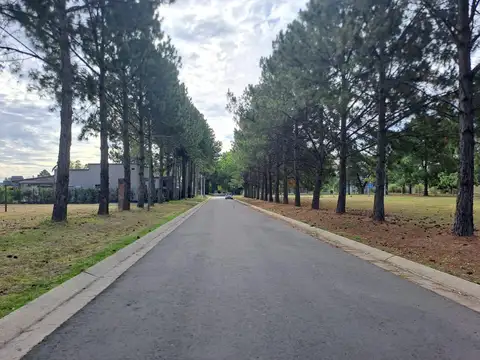 VENTA LOTE NUEVA ZELAYA 1 ARBOLADO ASFALTADO LISTO PARA CONSTRUIR