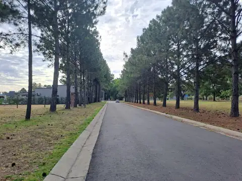 Terreno en Venta en Zelaya, USD 20.000