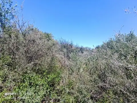 Terreno en Venta de 733,0 m2