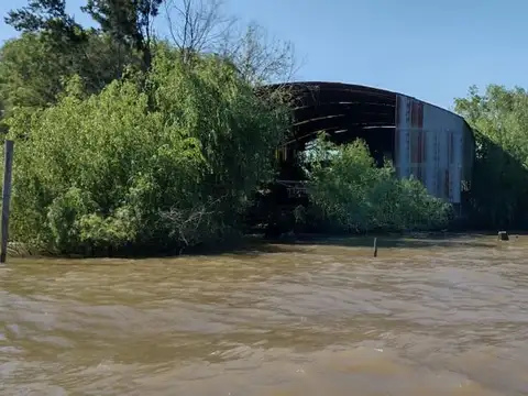 Tigre Isla terreno venta Rio lujan