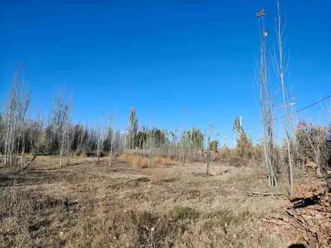 Terreno en Venta en Cinco Saltos, USD 55.000