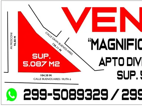 Av Gral E Mosconi 100