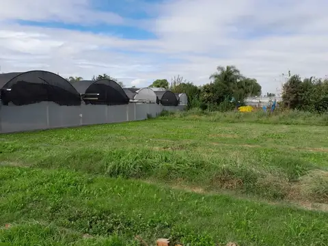 Terreno en Alquiler de 1750,0 m2