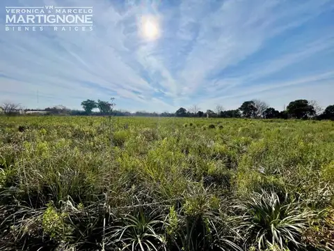 Única fracción 65.000 m2