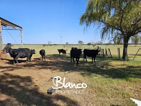 Terreno Campo  en Venta en San Luis Capital, San Luis, Argentina