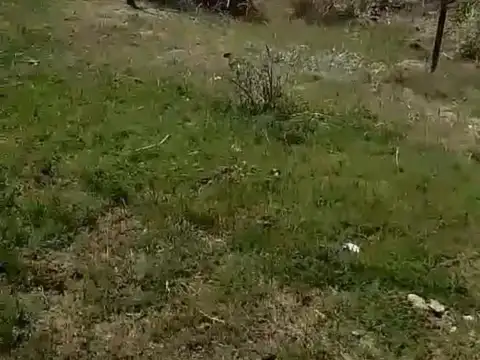Terreno en venta - 800Mts2 - San Clemente del Tuyú