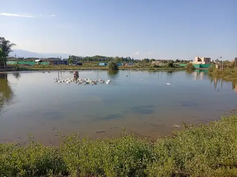 Terreno en Venta en El Sauce, USD 22.000