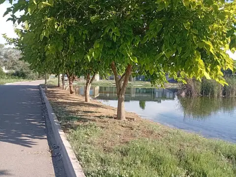 Terreno en Venta en El Sauce, USD 22.000