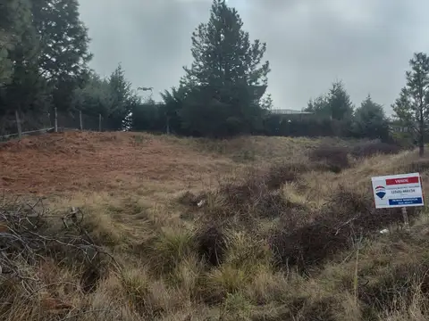Terreno en Venta en Trevelin, USD 29.000