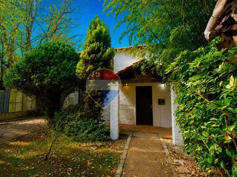 Calle 40 25100