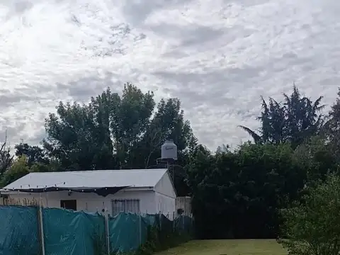 CARLOS CALVO al 100
