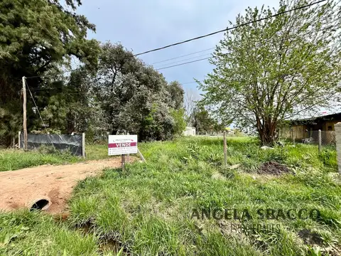 José Ingenieros, Parque Sakura.