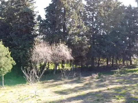 Venta de lote de 4000 m² en Villa Jardín | San Pedro