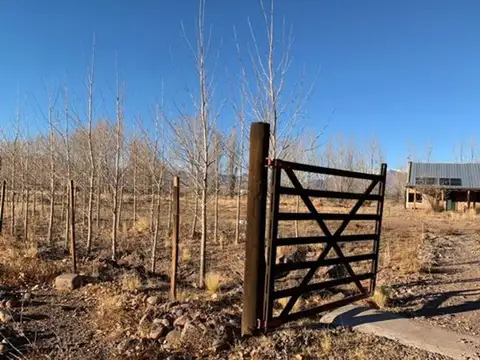 Ruta Nacional 149 y km 12 100