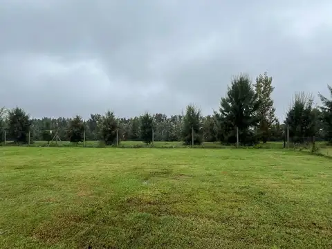 Lote en Venta en Castaños, Nordelta 100