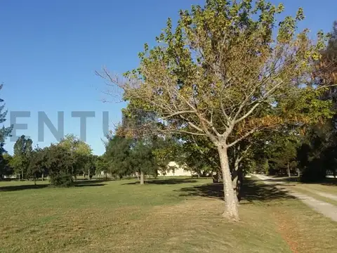 Terreno en Venta de 938,15 m2