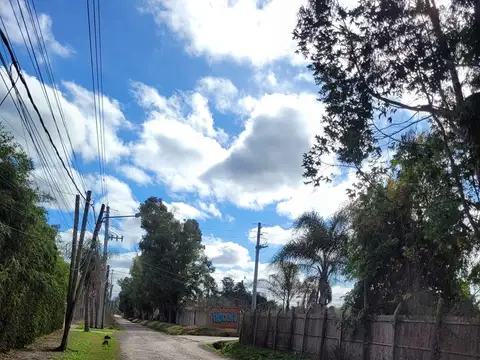 San Marcos 300