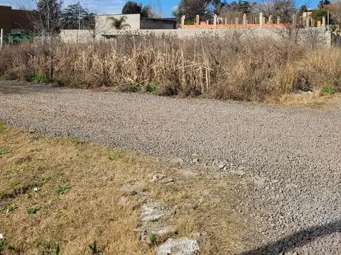 San Marcos 300