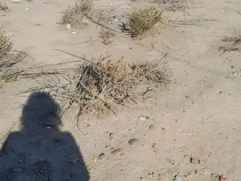 Venta de terreno en Perdriel