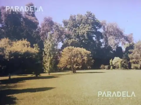 Consultar dirección