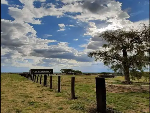Autopista 25 de mayo km 9