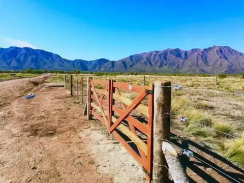 VENDO LOTE EN CLUB DE CAMPO LA FLORENTINA-LA PUNTA- SAN LUIS
