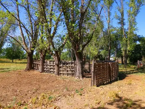 Quinta de 10000m2 en venta Goldney, Mercedes, Buenos Aires