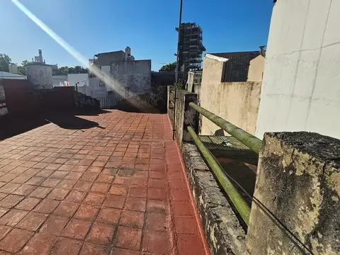 Carolina Muzzilli 5400