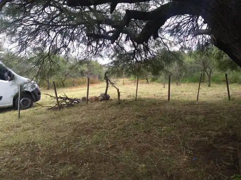 1.5 Hectáreas en Los Molles SL