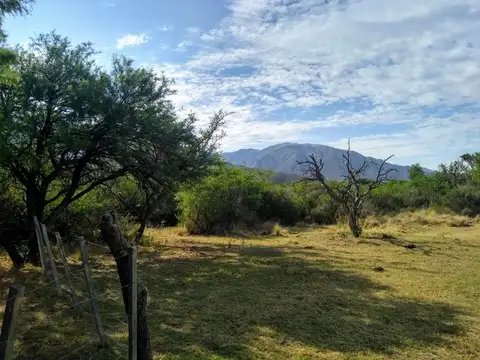 1.5 Hectáreas en Los Molles SL