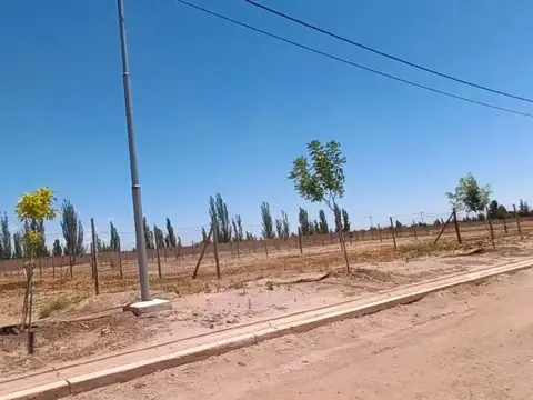 LOS ÁLAMOS