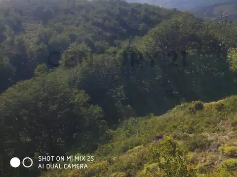 Campo en Venta de 0,19  ha