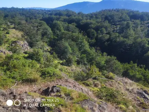 Campo en Venta de 0,19  ha