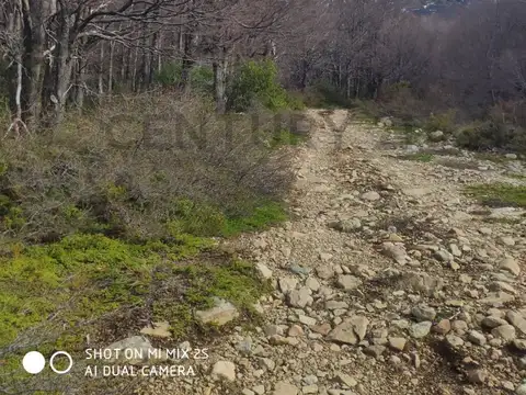 CAMPO - HUT DE INVERSION MULTIPROPOSITO EN CONCORVADO (CHUBUT)