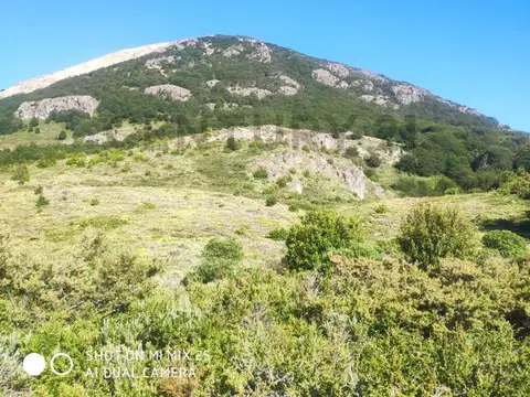CAMPO - HUT DE INVERSION MULTIPROPOSITO EN CONCORVADO (CHUBUT)