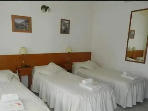 Zorzal e/ Los Tordos y El Hornero